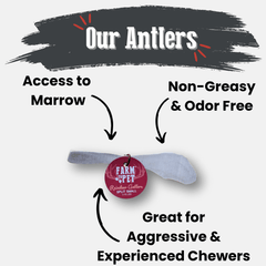 Reindeer Antler Dog Chews | Organic Chews for Dogs