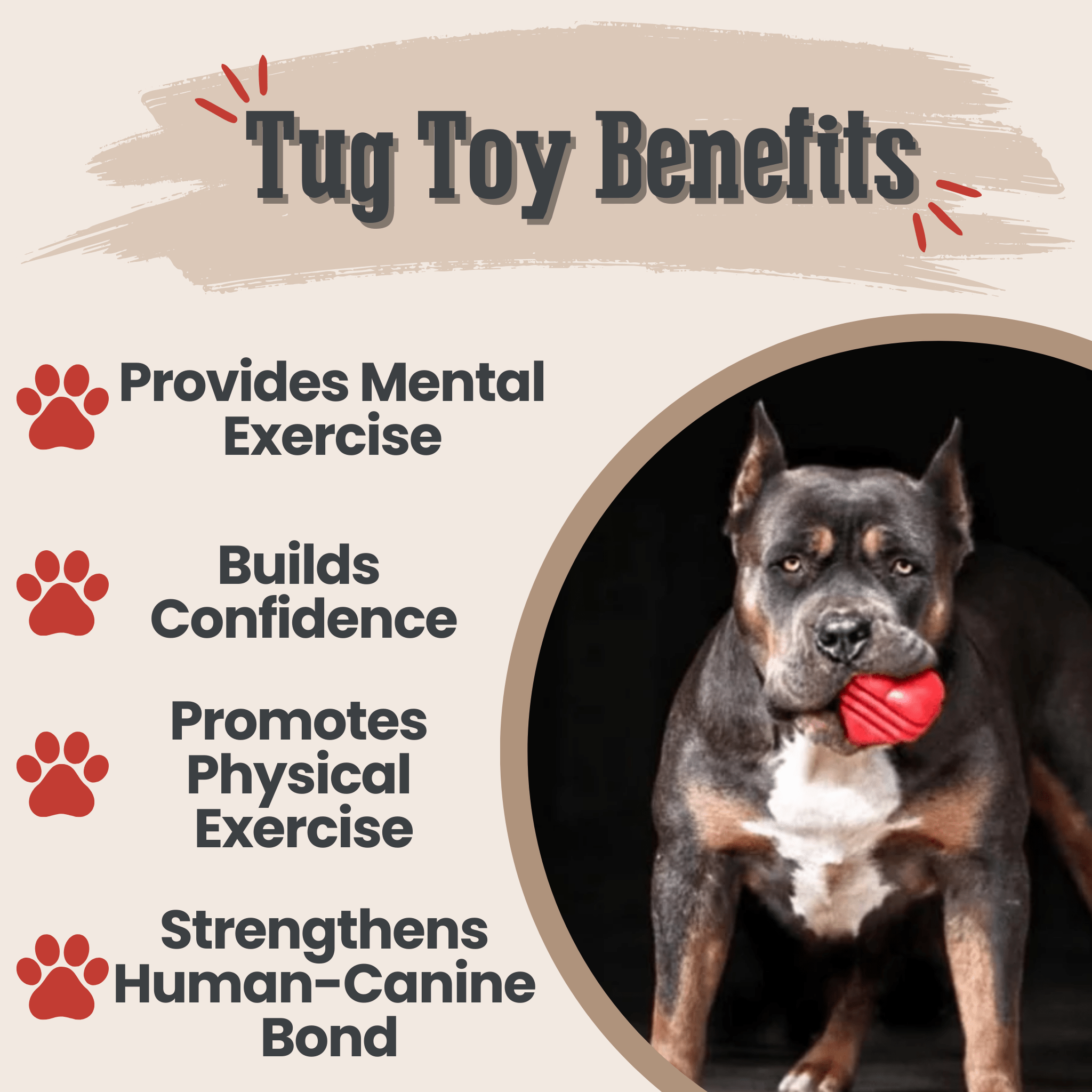 Chew Toys